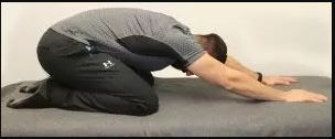 Trunk Flexion Stretch (sustained flexion)