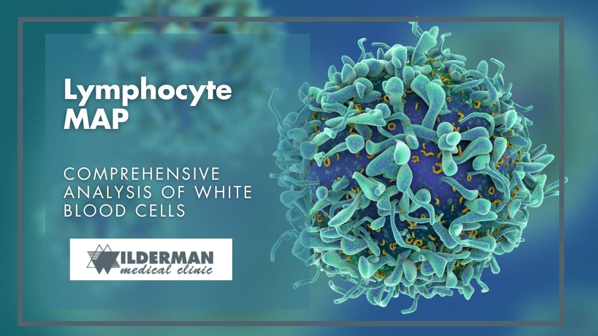 Lymphocyte MAP: Comprehensive analysis of White Blood cells - Wilderman Medical Clinic